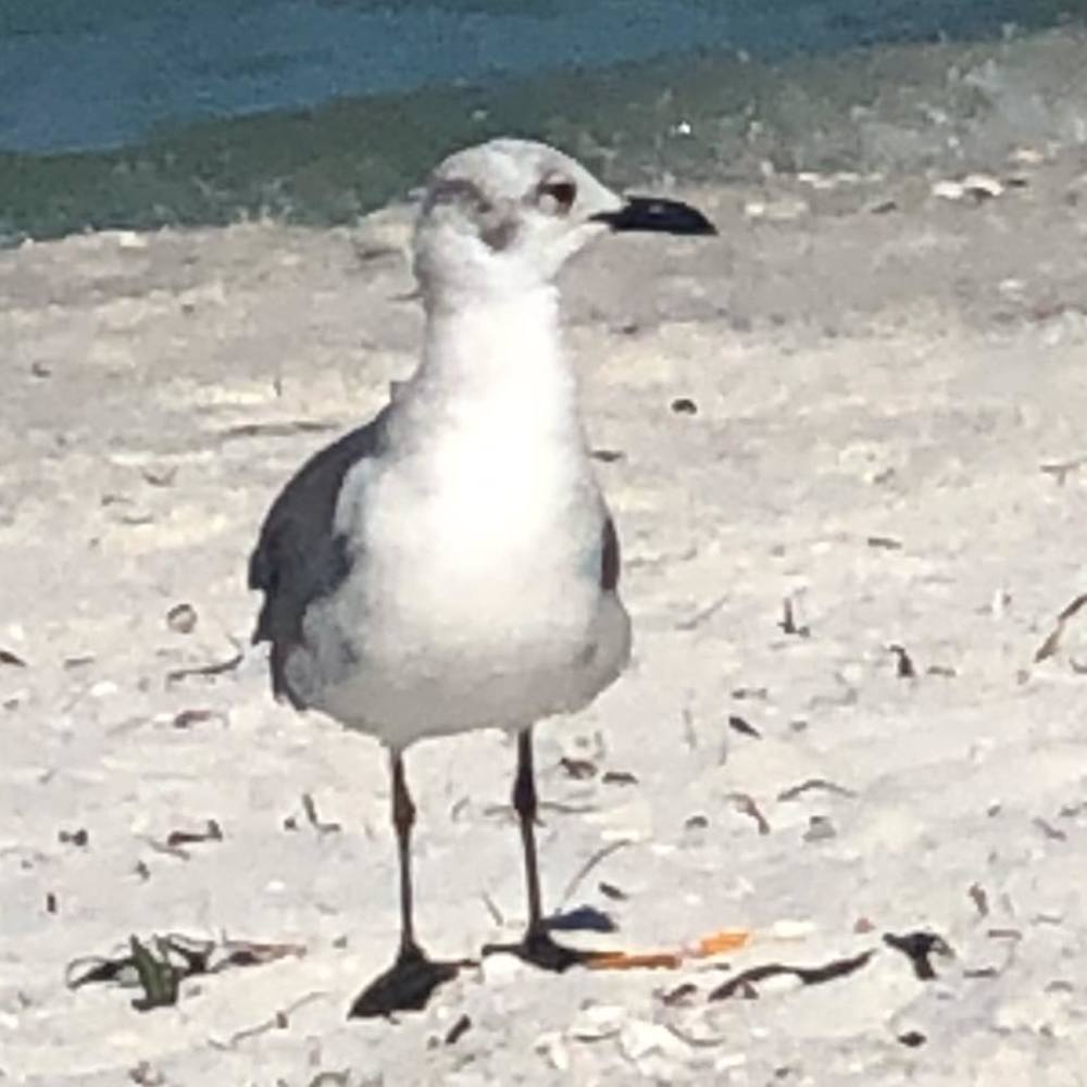 Meet your Posher, Marcela